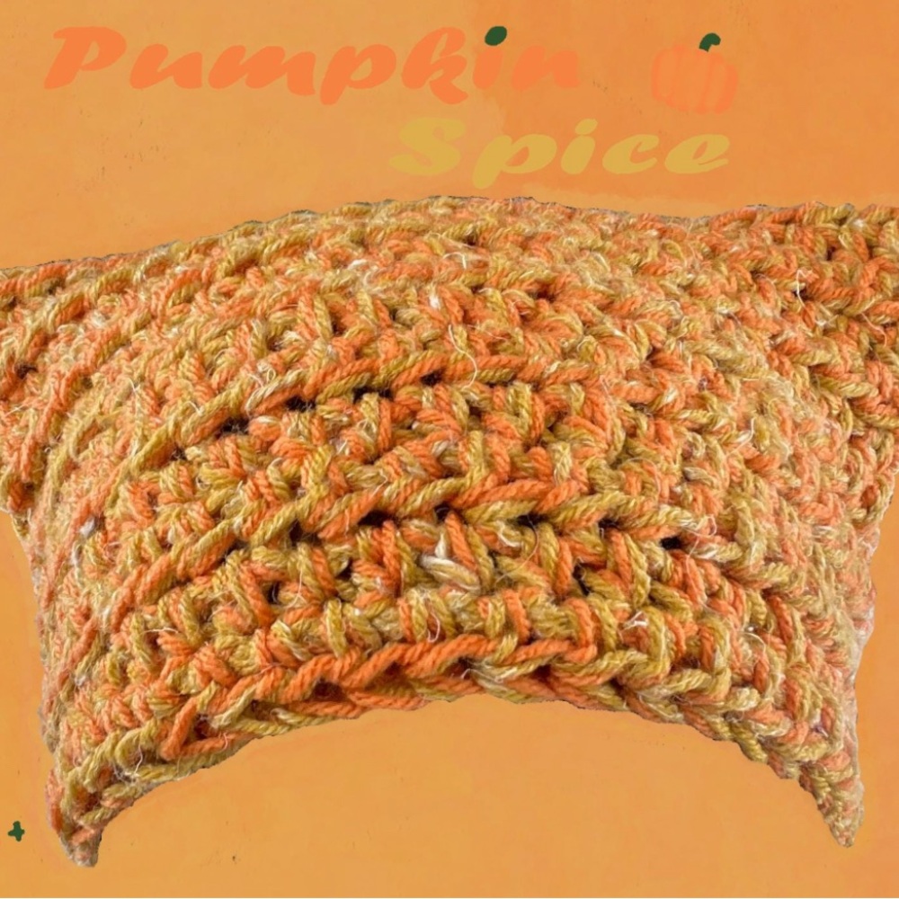 handmade crochet chunky yarn cat at ear beanie